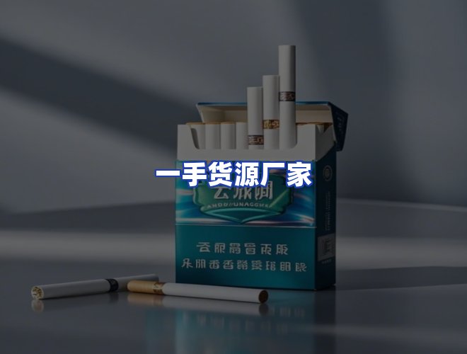 专业团队
